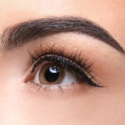 Brow Lift Model