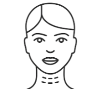 Facial diagram of platysmal bands